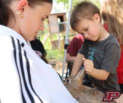 Platteville School District