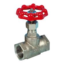 Stainless Steel Globe Valve Screwed BSPP - Valves Online
