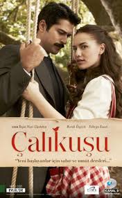 Lovebird 2013 An Addictive And Romantic Historical Turkish Soap Opera Drama Tv Shows Tv Series 2013 Romantic Books