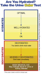 Urine Color And Dehydration Continued Apec Water