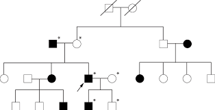 Pedigree Of The Kindred Studied Displaying Typical