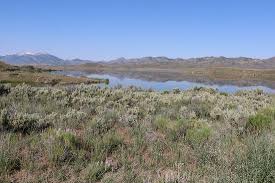 Check spelling or type a new query. Camping At Wild Horse Reservoir Picture Of Wild Horse Reservoir State Recreation Area Elko Tripadvisor