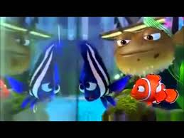 Coral, marlin, and nemo = ocellaris or false percula clownfish, clown anemonefish. Deb Flo Finding Nemo Youtube