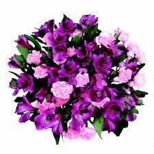 Kroger Mini Novelty Carnations 15 Stems Carnations Kroger Novelty