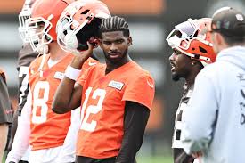 Nikly fans - if you like plus size women