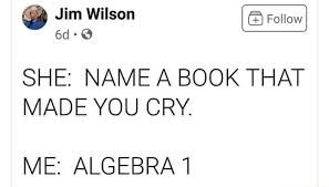 Btw if you actually do this meme, please show me! Jim Wilson She Name A Book That Made You Cry Me Algebra 1