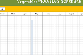 vegetable planting schedule