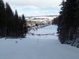 1306880287 / 0100 prezident klubu: Skizentrum Kamenec Jablonec Nad Jizerou