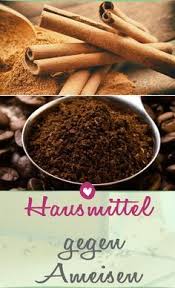 Hausmittel Gegen Ameisen Die Sie Schnell Vertreiben Hausmittel Gegen Ameisen Ameisen Im Garten Gemahlener Kaffee