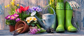 Expert tools for canadian gardeners. The Key Moments To Reach Home And Garden Shoppers