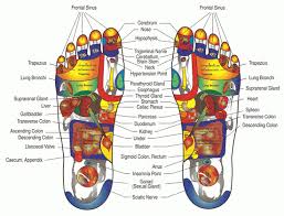 Foot Reflexology Chart To Map Sole Zones And Organs