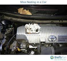 Dryer sheets are used by campers to. Keeping Mice Out Of Vehicles Rodent Repellent Mice Repellent Mouse Repellent