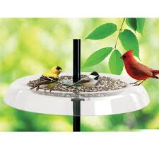 Bird Feeder Pole Systems Accessories Pole Squirrel Baffles Durable Quality Crafted Pole Mount Metal Squirrel Baffles At Songbird Garden In 2020 Bird Feeders Bird Feeding Station Droll Yankee