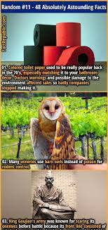 48 Absolutely Astounding Random Facts About Everything Random List 11 Fact Republic In 2021 Facts Fun Facts Wow Facts