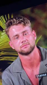 Harry Lied Perfect Match