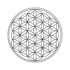 The pattern formed by the circles creates images of perfectly symmetrical flowers. Dna Merkaba Flower Of Life Workshop With Shari Billger The Sopris Sun