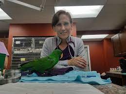 Todd driggers is an avian association of veterinarians certified veterinarian with 20. Dr K Avian And Exotic Animal Hospital Off 66 Www Usushimd Com