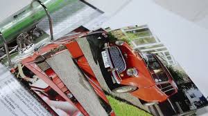 Image result for Autumn Red 1965 Morris