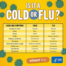 Image result for Influenza