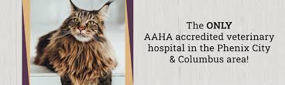 Cynthia rigoni houston veterinarian | all. Companion Animal Hospital Veterinarians In Phenix City Al