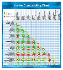 marine compatibility chart thatpetplace com fish