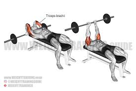 Lying triceps extensions, also known as skull crushers and french extensions or french presses, are a strength exercise used in many different forms of strength training. Lying Down Dumbbell Tricep Extensions Cheap Online