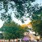 City of Aledo “Central Park Grooves”: Fair Warning