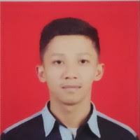 80+ "Sumian" profiles