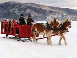 The haymaker nordic center is the ideal place for newbie nordic skiers. Steamboat Sleigh Rides Mountain Mover Blog