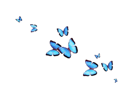 Pink aesthetic wallpaper tumblr papel de parede roxo papel de parede vaporwave wallpapers bonitos. Transparent Butterfly Cute Aesthetic Butterfly Wallpaper