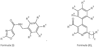 Image result for Galium scabrellum