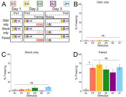 Olfactory Fear Conditioning Non Specifically Enhances Glomerular Odor Responses And Increases Representational Overlap Of Learned And Neutral Odors Biorxiv