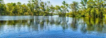 Ein suriname urlaub ist fantastisch für alle altersgruppen. Suriname Reisen Vom Sudamerika Spezialisten