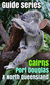 Cairns To Port Douglas Drive Discover The Most Beautiful Road In Australia Http Mel365 Com Cairns To P Daintree Rainforest Australia Travel Guide Rainforest