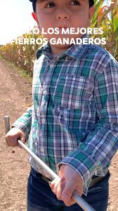 Gracias a MIREYA CASTRO y LIZETH CHAPA por el saludito, si conoces de  caballos 🐎 ligeros segurísimo las haz visto ☝🏼🐴 , Pide TU FIERRO  GANADERO AQUÍ 👉🏼...