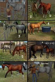 Animal lover custom trait · 17. Mod The Sims The Only Horse Your Sims Will Ever Need