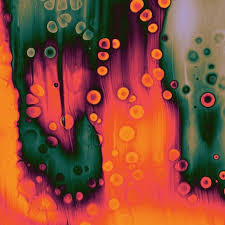 Noon 270 Samchirnside 01 Nightshifts Walking Away 02 Gundelach Duck Hunting 03 Saints Turn Aroun Day Trips December 07 Duck Hunting