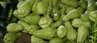 Agar tanaman menghasilkan buah stroberi yang. Tips Menanam Labu Siam Dengan Baik Dan Benar Untuk Pemula