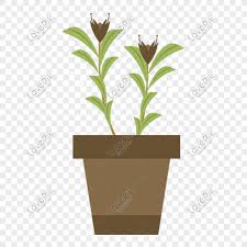 Mewarnakan pasu bunga dengan hanya warna asas. Hand Drawn Green Potted Cartoon Plant Flower Png Image Picture Free Download 611505376 Lovepik Com