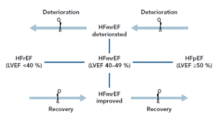 heart failure with mid range ejection fraction a review of