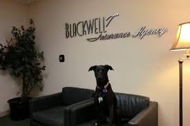 Tfc notifies you that you are to use the patient portal for most communications and they also communicate the charges due. Blackwell Insurance Agency 23201 Lake Center Dr Suite 310 Lake Forest Ca Insurance Mapquest