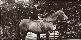 The Oldest Horses In History