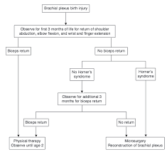 Obstetric Brachial Plexopathy Erbs Klumpkes Palsy