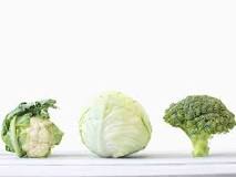 Image result