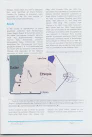 Image result for Ochna leptoclada