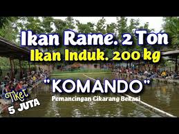 Lomba Mancing Tiket 5 Juta Grand Opening Komando Fishing Cikarang Youtube