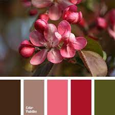 Check spelling or type a new query. Color Palette 705 Color Palette Red Colour Palette Seeds Color