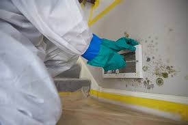 Maybe you would like to learn more about one of these? Mold Remediation Mold Removal Houston Tx Servicemaster Restore