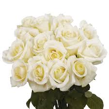 Rose rosa sp flowers art print by visionspictures. Amazon Com Globalrose 50 White Roses Flower Delivery Beautiful Gift Grocery Gourmet Food