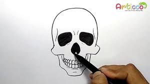 How To Draw Human Skull Step By Step Youtube Learn how to draw skulls in 6 easy steps! how to draw human skull step by step